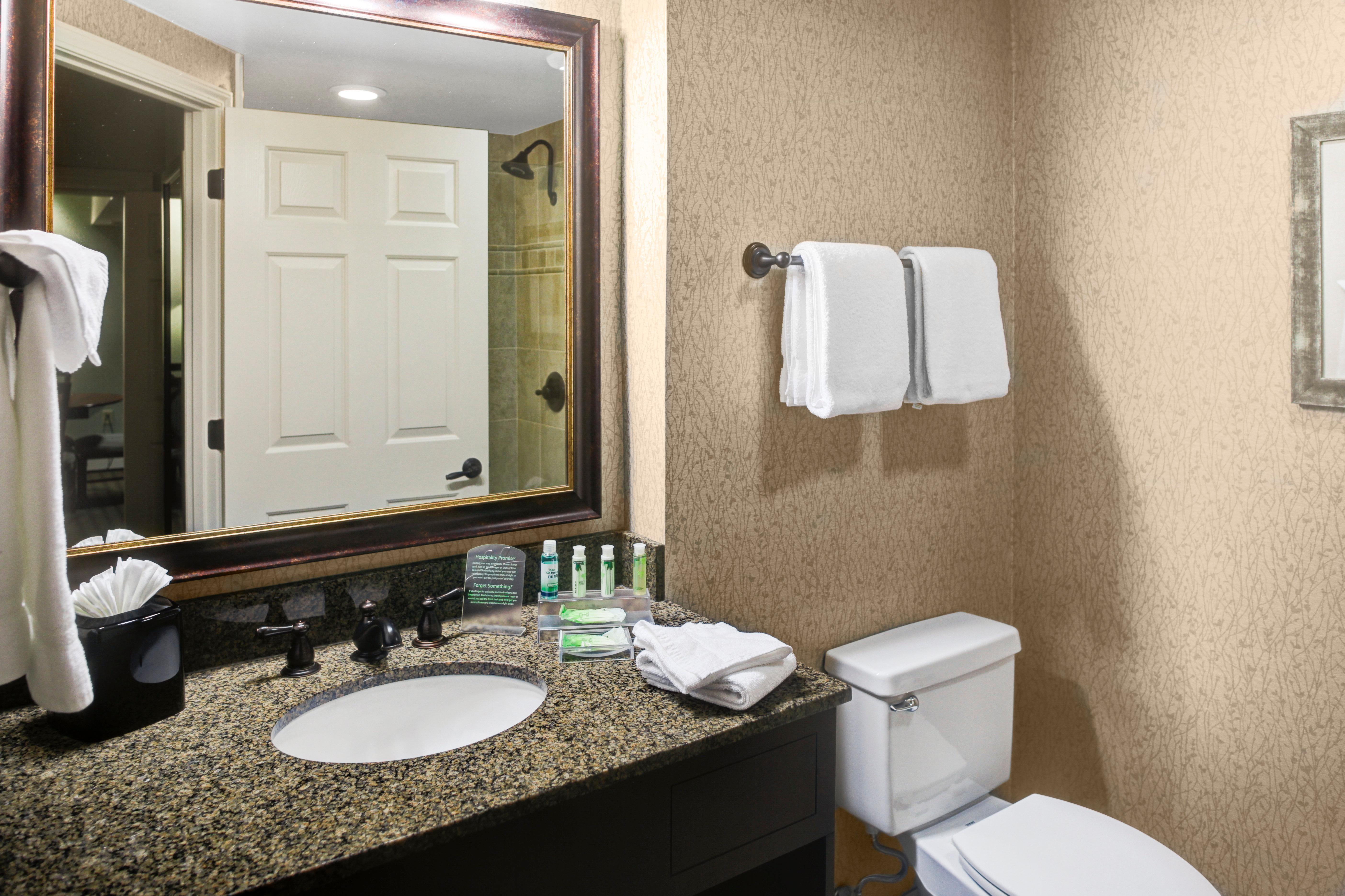 Holiday Inn Express Hotel & Suites Atlanta Buckhead By Ihg Екстер'єр фото