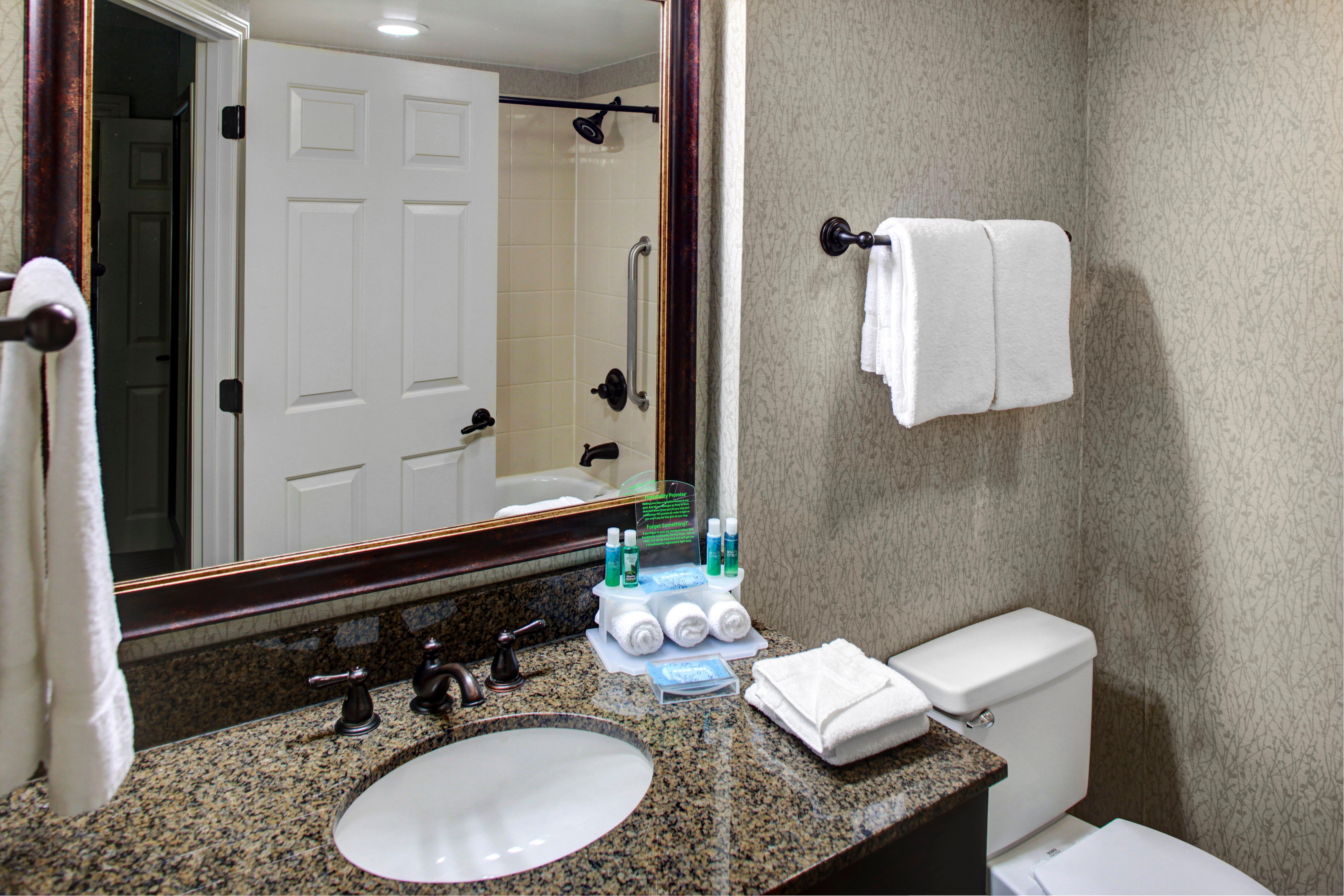 Holiday Inn Express Hotel & Suites Atlanta Buckhead By Ihg Екстер'єр фото